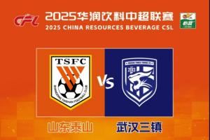 2025华润饮料中超联赛第15轮山东泰山队主场赛事票务公告